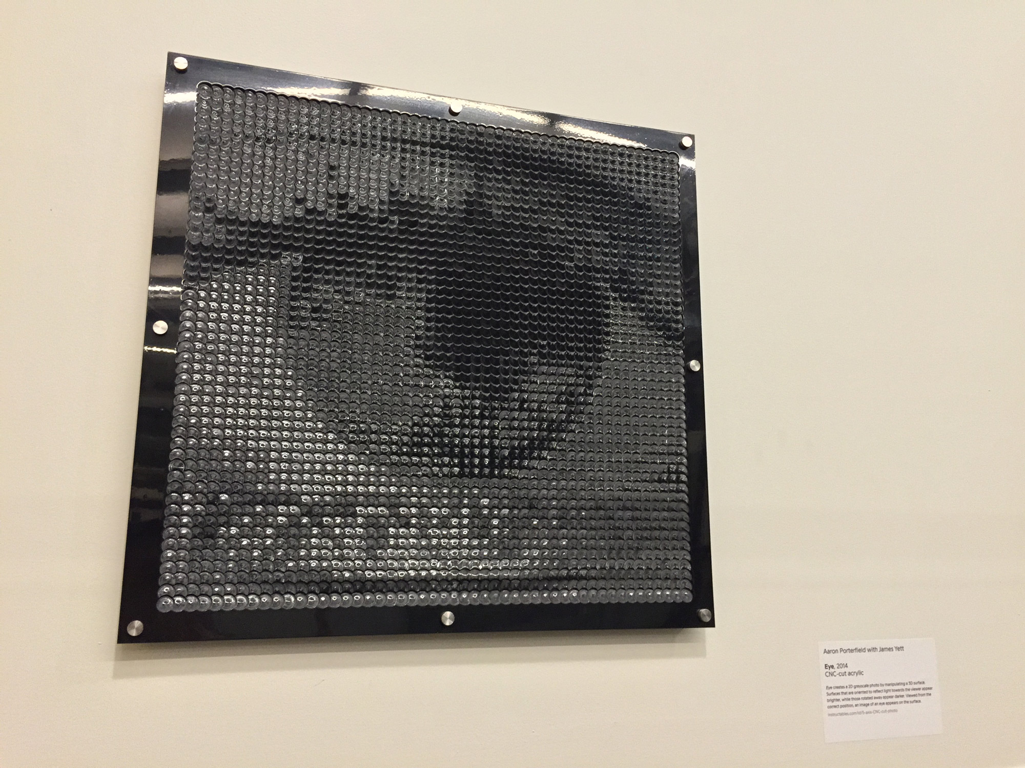 Eye — CRI proof of concept, Autodesk Pier 9 gallery, 2014